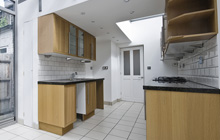 Broadhempston kitchen extension leads